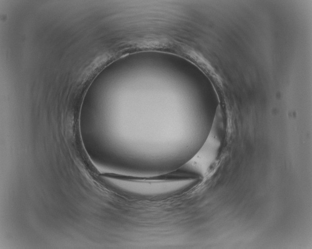 X0000076310201200610161627