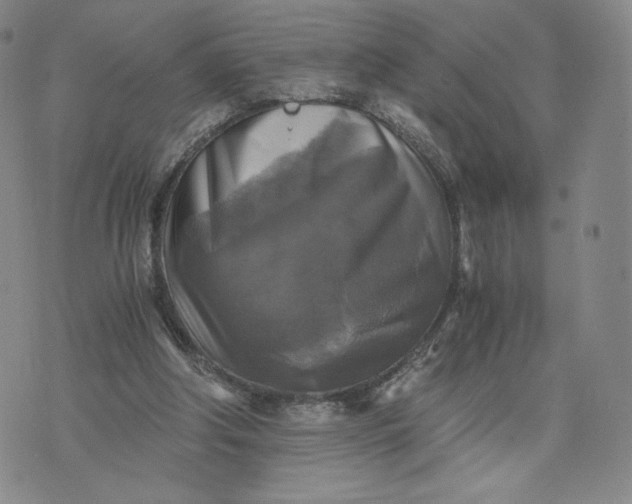 X0000076310202200610161627