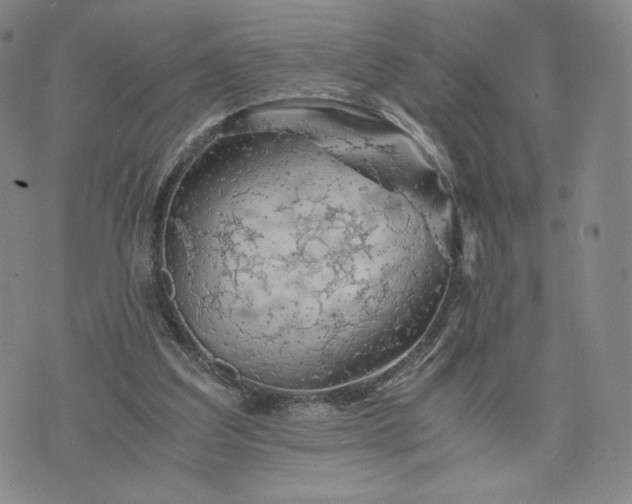 X0000076310203200610161627