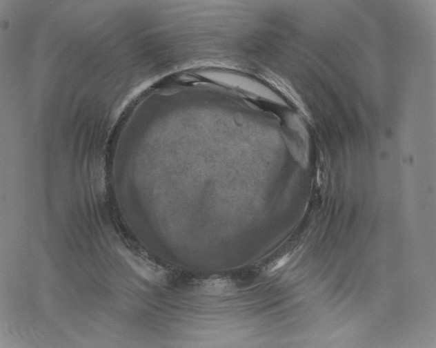 X0000076310204200610161627