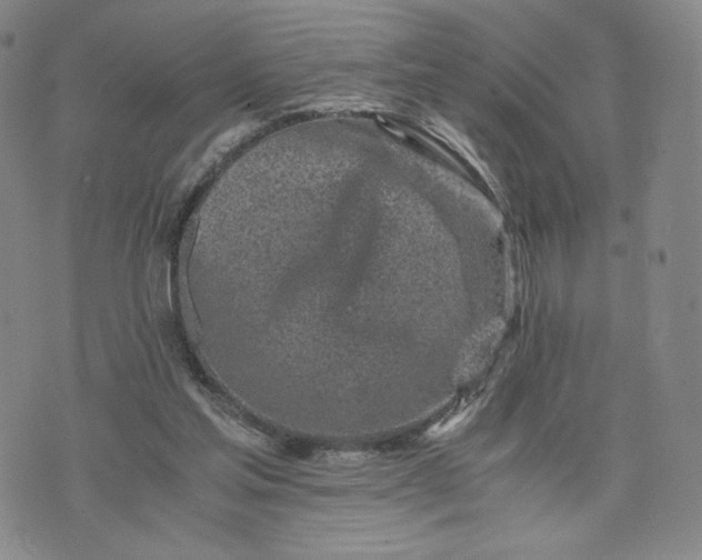 X0000076310205200610161627