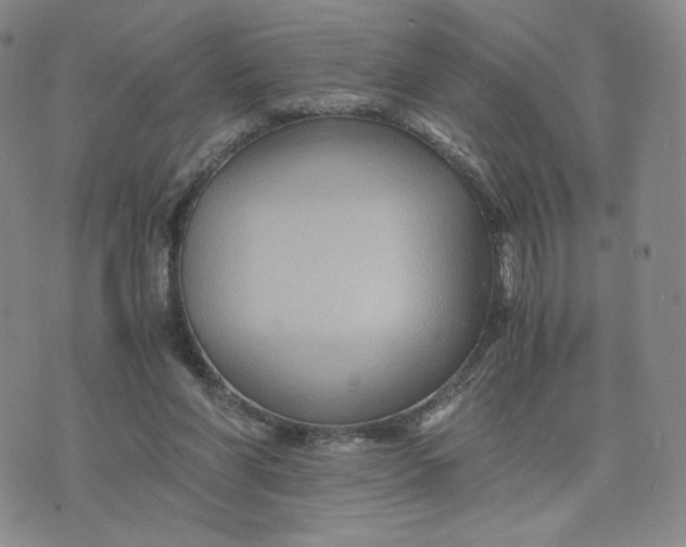 X0000076310206200610161627