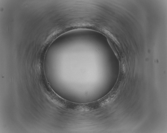 X0000076310207200610161627