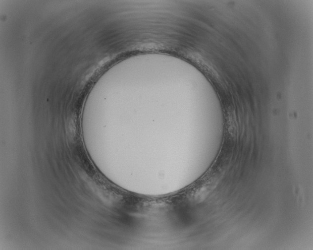 X0000076310208200610161627