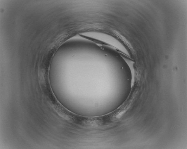 X0000076310209200610161627