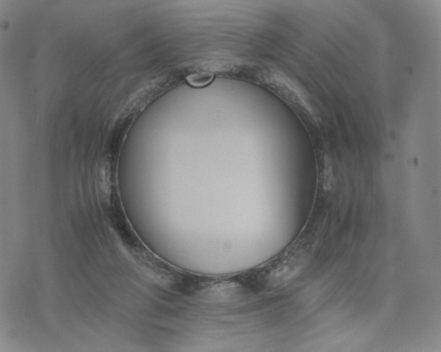 X0000076310210200610161627