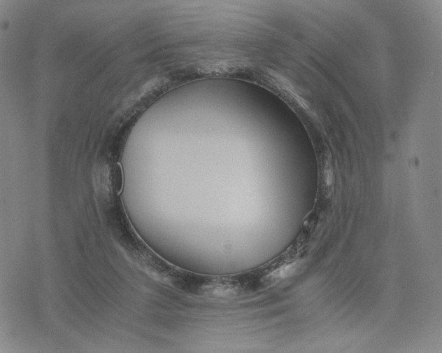 X0000076310211200610161627