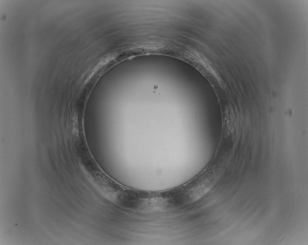 X0000076310212200610161627