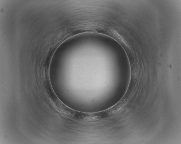 X0000076310213200610161627