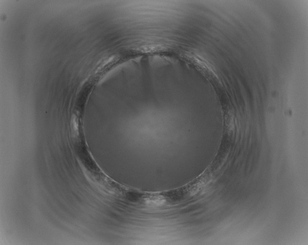 X0000076310214200610161627