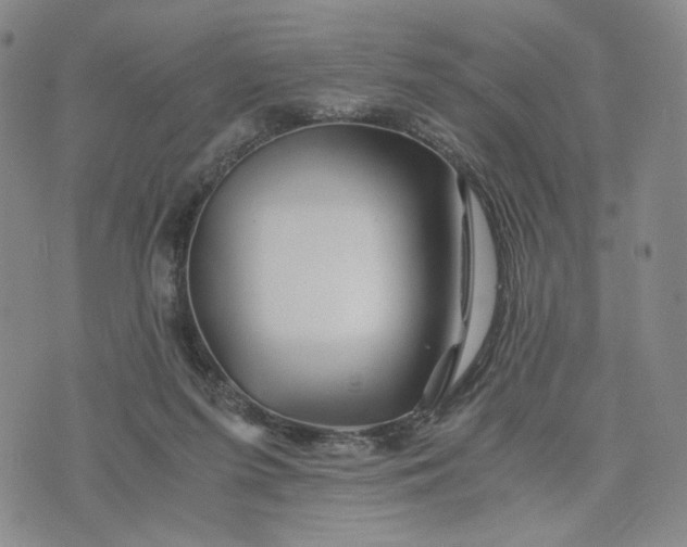 X0000076310215200610161627