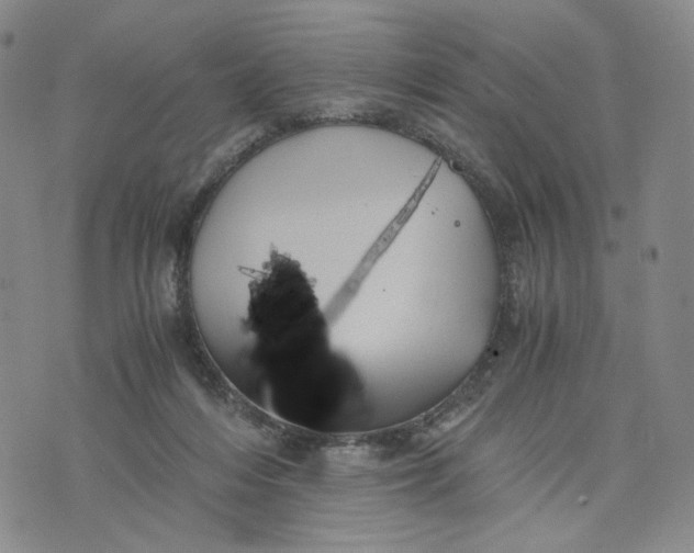 X0000076310216200610161627