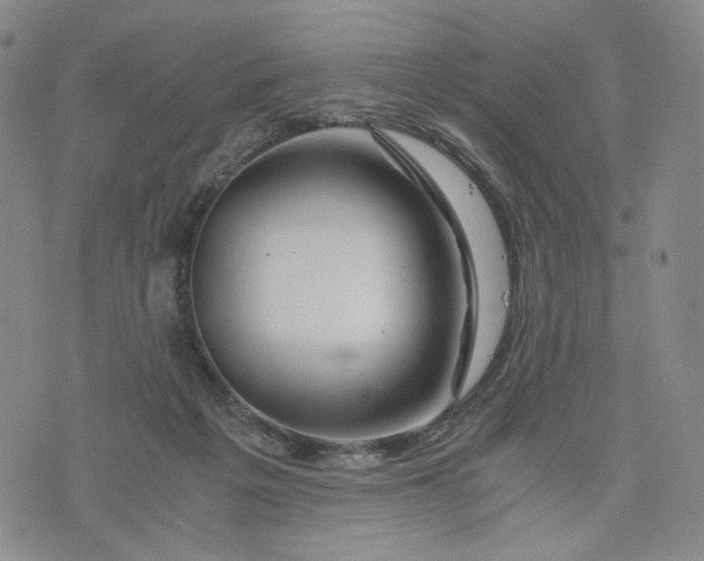 X0000076310217200610161627