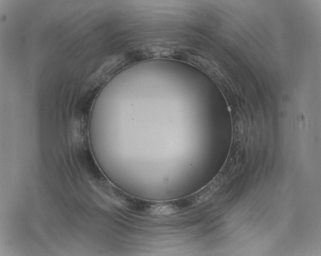 X0000076310218200610161627