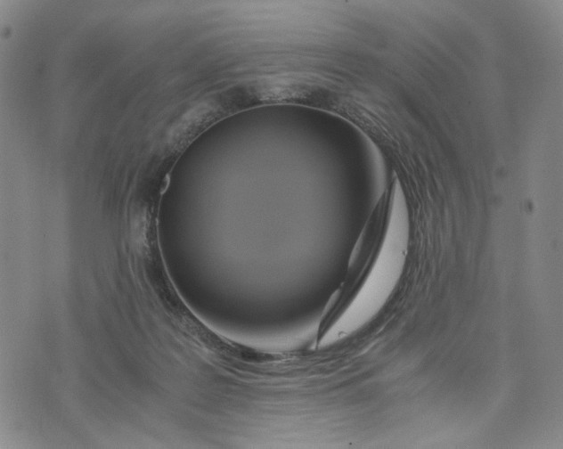 X0000076310219200610161627