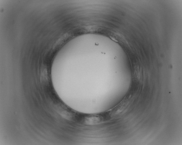 X0000076310220200610161627