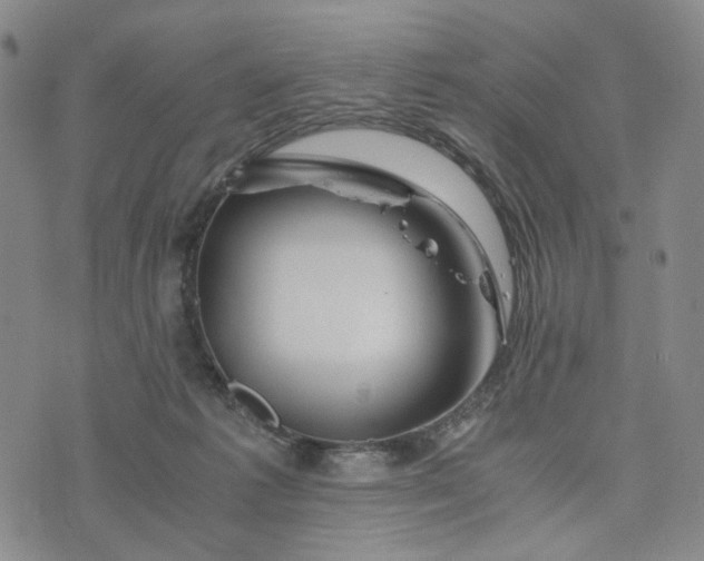 X0000076310221200610161627