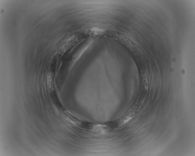 X0000076310222200610161627