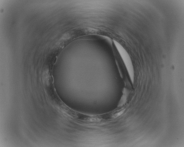 X0000076310223200610161627