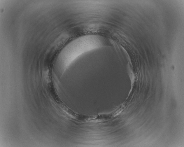 X0000076310224200610161627