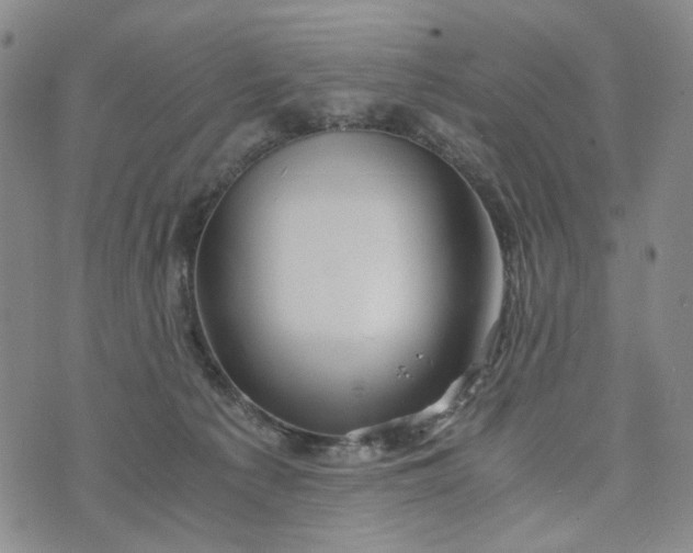 X0000076310225200610161627