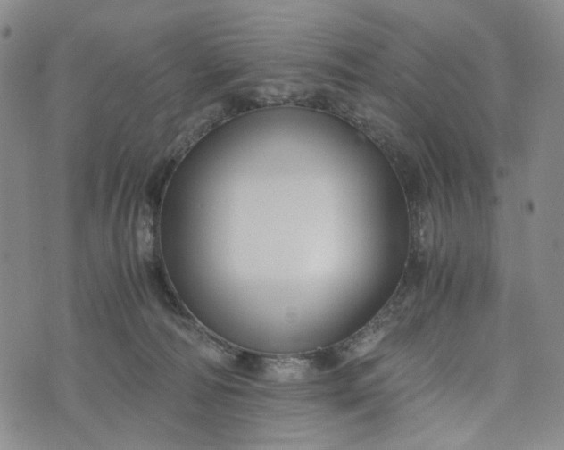 X0000076310226200610161627