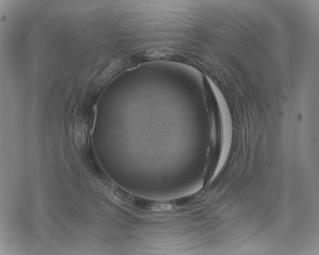 X0000076310227200610161627