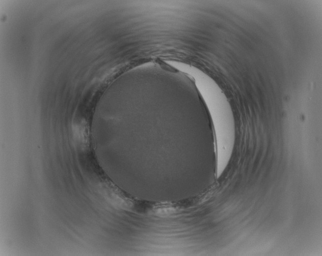 X0000076310228200610161627