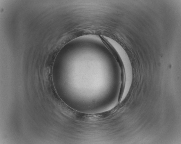 X0000076310229200610161627