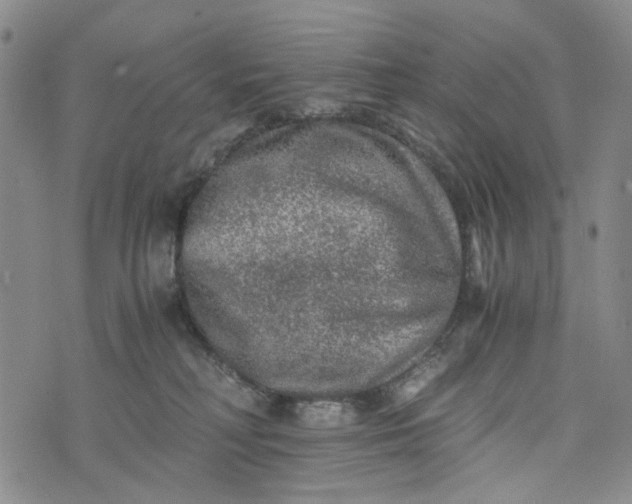 X0000076310230200610161627