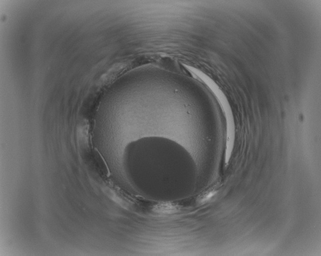 X0000076310231200610161627