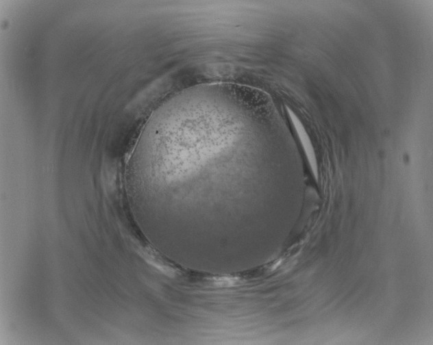 X0000076310233200610161626