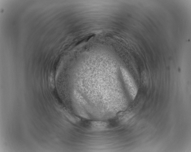 X0000076310234200610161626