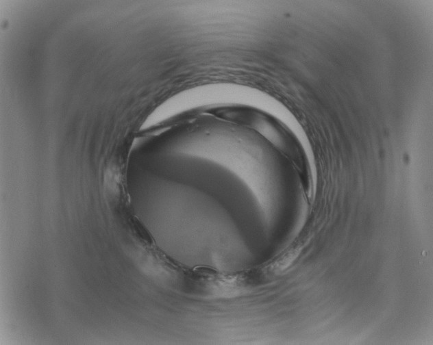 X0000076310235200610161626