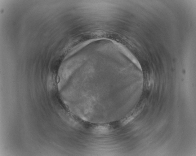 X0000076310236200610161626