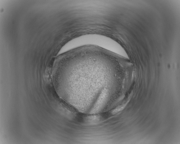 X0000076310237200610161626