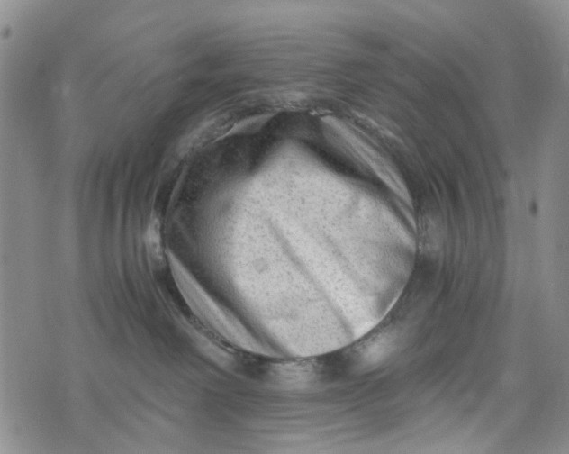 X0000076310238200610161626