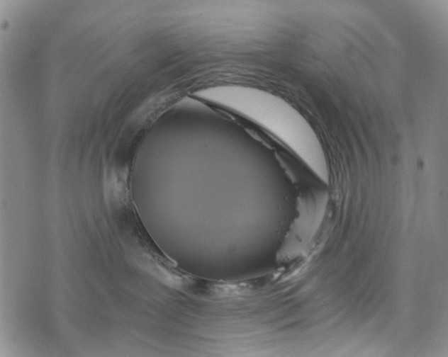 X0000076310239200610161626