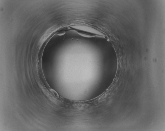 X0000076310242200610161626