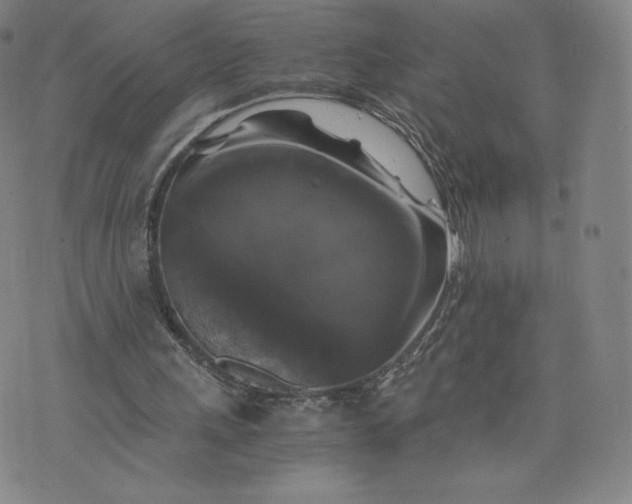 X0000076310243200610161626