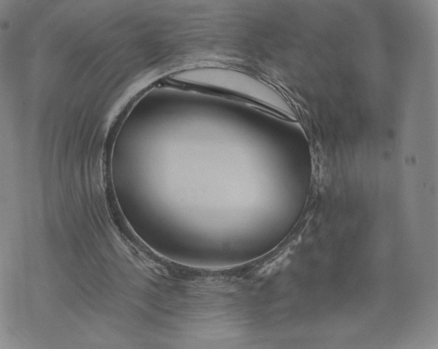 X0000076310244200610161626