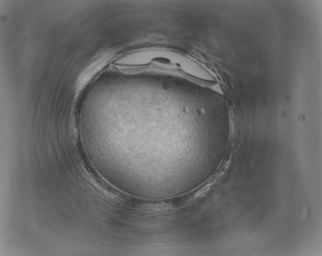 X0000076310245200610161626