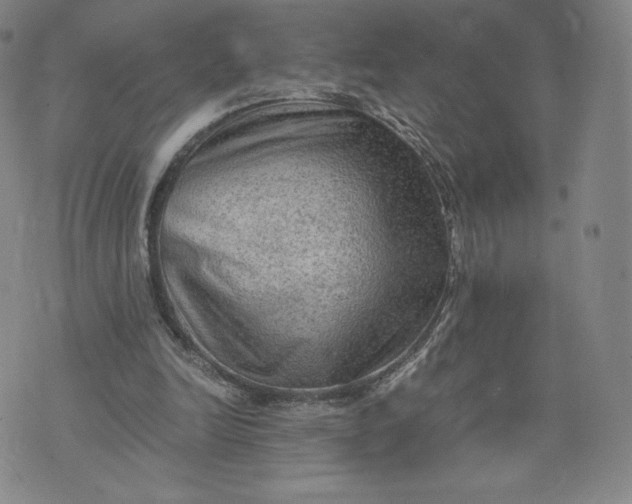 X0000076310246200610161626