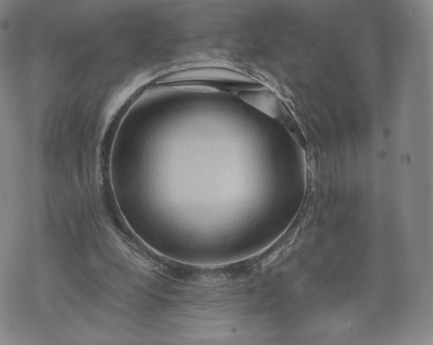 X0000076310248200610161626