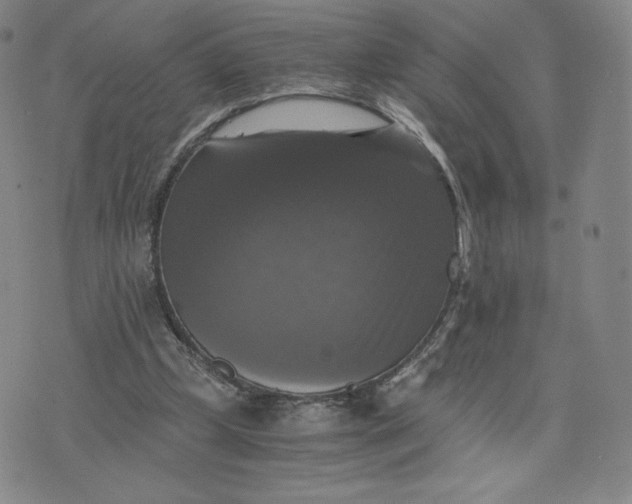 X0000076310249200610161626