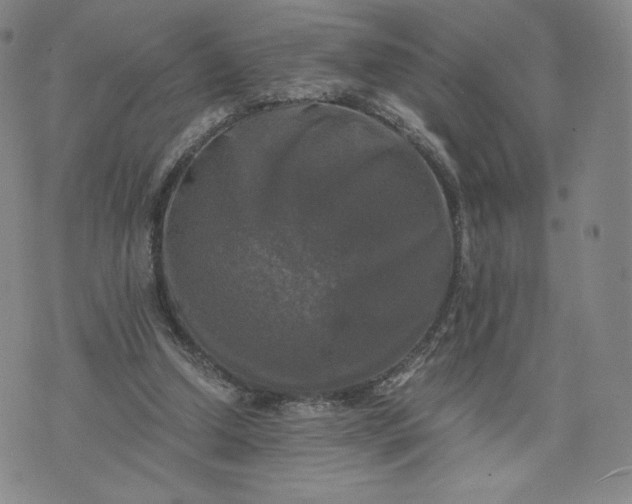 X0000076310250200610161626