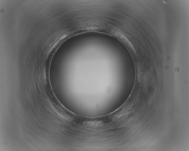 X0000076310251200610161626