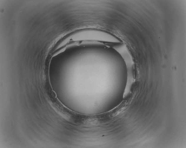 X0000076310252200610161626