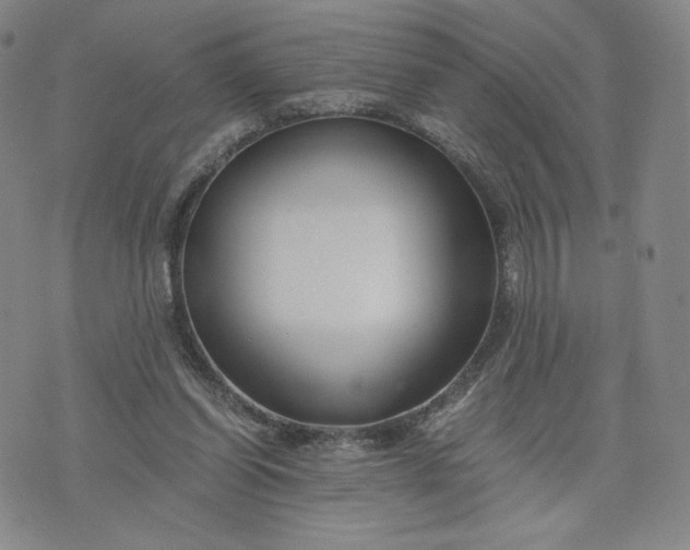 X0000076310254200610161626