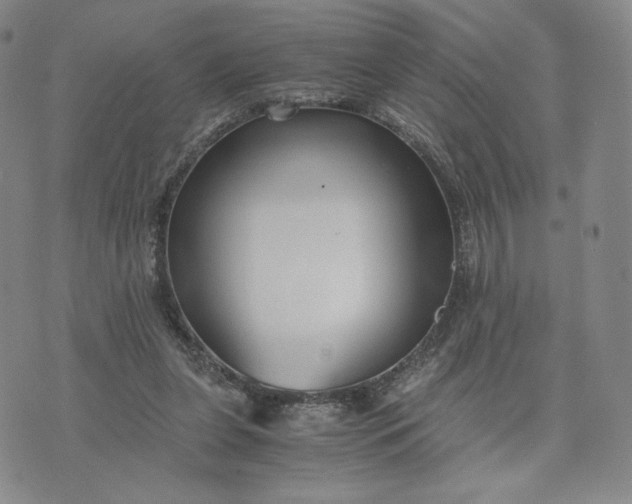 X0000076310255200610161626